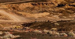 [欧联杯]索兰克点啥 热刺总分2-1法兰克福进4强